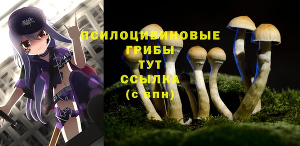 таблы Алексин