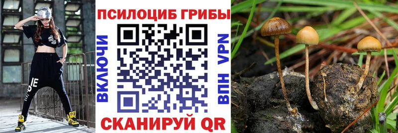 Псилоцибиновые грибы Magic Shrooms  Сарапул 